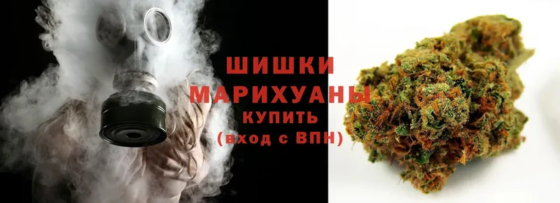 Конопля SATIVA & INDICA  как найти закладки  Богучар 